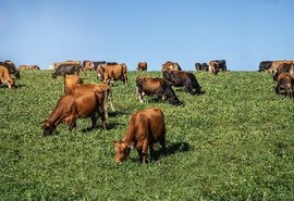 Empesa lança primeiro arame farpado sem farpas do Brasil na Agroleite