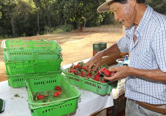 Finep destina R$ 220 milhões para impulsionar inovações na agricultura familiar