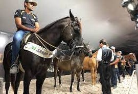 Rancho Vale Rico: leilão escala 36 lotes voltados para a vaquejada