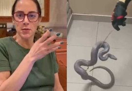 Silvia Abravanel reencontra jiboia desaparecida após cinco meses