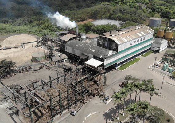 Copervales é uma das primeiras usinas de AL a finalizar ciclo de cana