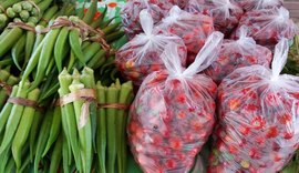 Nova edição da feira orgânica acontece nesta terça-feira (5)