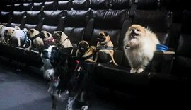 Cinema do Arapiraca Garden Shopping cria sessões petfriendly