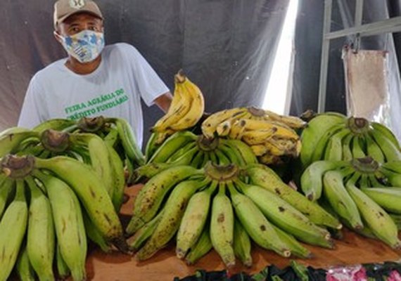 Coqueiro Seco festeja emancipação política com feira agrária