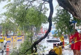 Mulher é atingida por galho de árvore e fica ferida na Pajuçara em Maceió