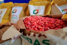 Governo de Alagoas investe mais de R$ 26 milhões em ações para agricultura familiar no primeiro semestre