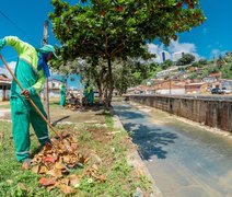 Vale do Reginaldo recebe instalação de jardins e plantio de árvores