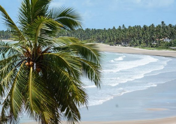 Praia do Patacho é a única praia alagoana nomeada para receber selo internacional de turismo