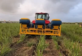 Cana Show testa no campo novas tecnologias para reduzir custos do produtor