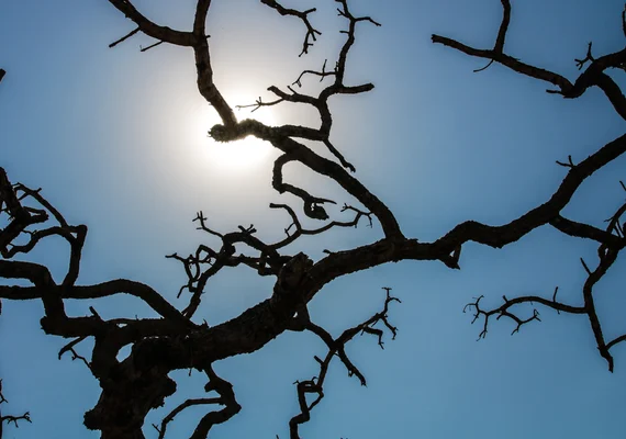 Brasil registra recorde da temperatura média pelo quarto mês seguido