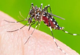 Aumento alarmante: Dengue cresce 114% em Maceió comparado a 2023