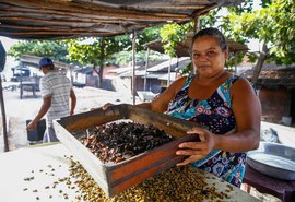 Banco da Mulher Empreendedora beneficiará marisqueiras