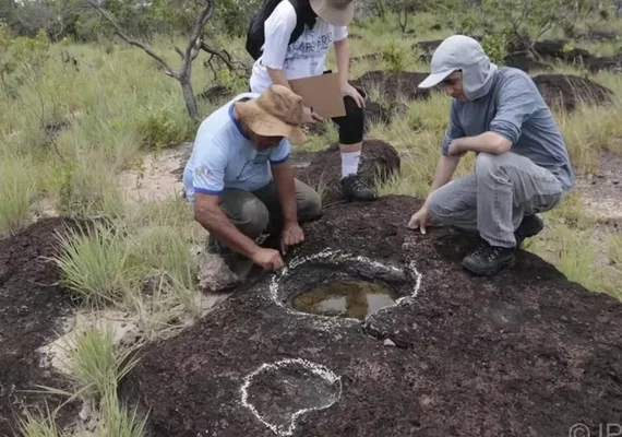 Pesquisadores encontram pegadas de dinossauros com mais de 100 milhões de anos em Roraima