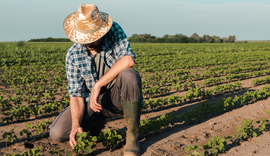 Qualificação da mão de obra vira desafio central para o agro