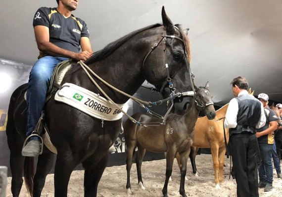 4ª edição do Leilão Vale Rico fatura R$ 4,3 milhões