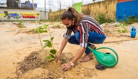 Prefeitura planta mudas para revitalizar locais de descarte irregular