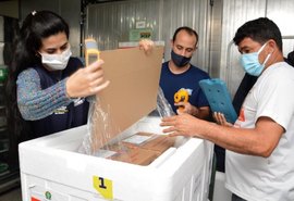 Alagoas recebeu mais 17 mil doses de Coronavac nesta sexta-feira (14)