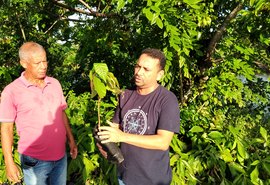 Coopaiba está retomando produção de jenipapo em Piaçabuçu