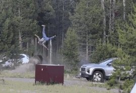 Idoso é atacado por bisão e arremessado durante passeio em Yellowstone