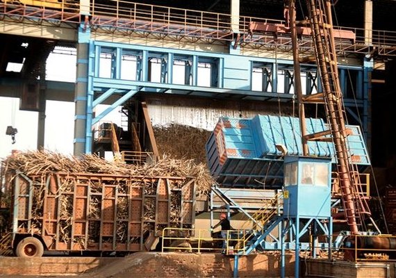 Setor canavieiro é um dos mais atingidos pela pandemia de Covid-19