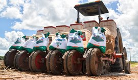 Projeto Maná reforça agricultura familiar em Coruripe