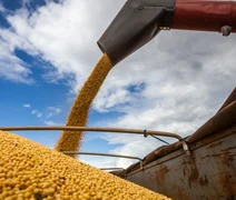 Tarifas ameaçam contratos e receita de exportadores do agro brasileiro