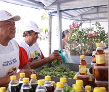 Circuito de Feiras fortalece cooperativas e chega a Murici na terça (18)