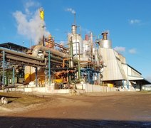 Usina Pindorama alcança marca de 1 milhão de toneladas de cana moída