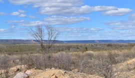 Estado de Alagoas decreta situação de emergência em 38 municípios devido à seca
