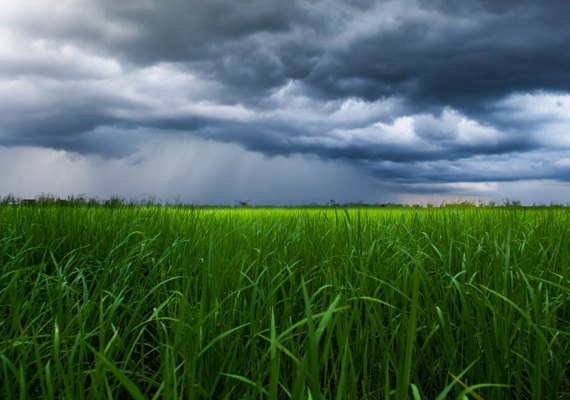 Previsão nesta terça (15) é de chuva acima dos 60 mm sobre o litoral Norte do Nordeste