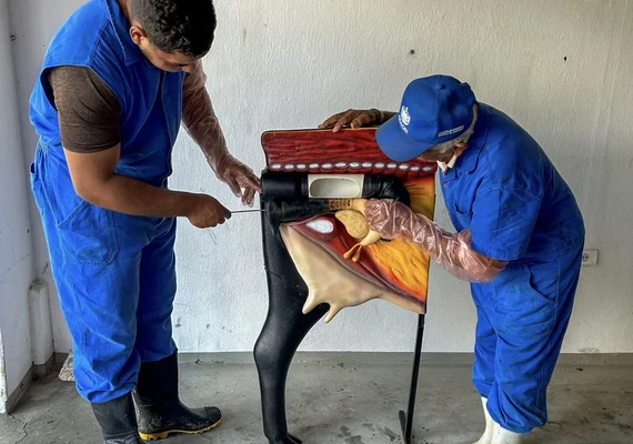 Seagri abre inscrições para nova turma do Curso de Inseminação em Batalha