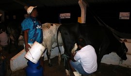 Torneios da 36º Expo Bacia Leiteira mostra diferencial da genética produzida no estado