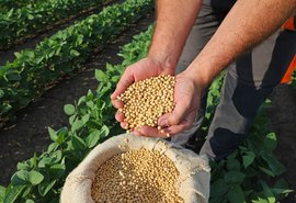 Em nota, agricultura familiar defende aumento da mistura do biodiesel a partir de abril