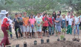 Município promove atividades de sustentabilidade na semana do meio ambiente