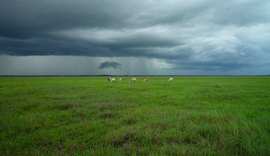 Chuvas excessivas podem atrapalhar os trabalhos no campo