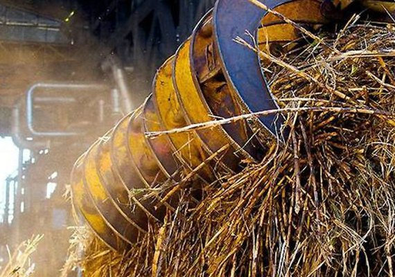 Conab amplia estimativa da moagem de cana em AL