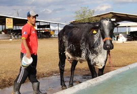 Exposição levou 30 mil pessoas ao Parque Mair Amaral