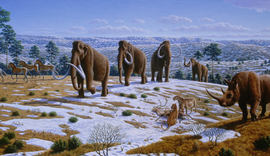 Estudo questiona papel humano na extinção da megafauna nas Américas