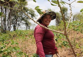 Participação do interior no PIB de Alagoas supera a capital, aponta IBGE