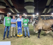Julgamentos da Expoagro-AL reforçam protagonismo do estado na genética animal do Nordeste