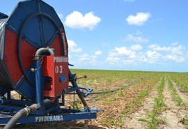 Cooperativa aposta em irrigação para aumentar a produtividade