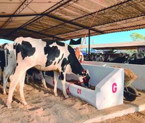 Expo Bacia Leiteira levará conhecimento e oportunidades ao Parque Mair Amaral