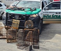 Três homens são autuados em ação da PM contra caça ilegal no Norte de AL
