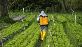 Sindiveg lança plataforma gratuita e on-line sobre o uso dos defensivos agrícolas no campo