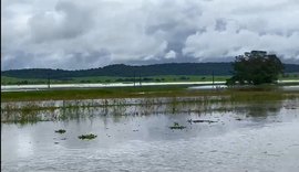 Estima-se perda de 40 mil toneladas de cana em Alagoas devido às chuvas