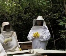Palateia: Usina Caeté faz doação para projeto de apicultura