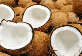 Pindorama firma parceria para projeto de reaproveitamento da casca do coco