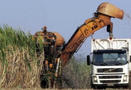 Ministros da Agricultura do G-20 criticam protecionismo