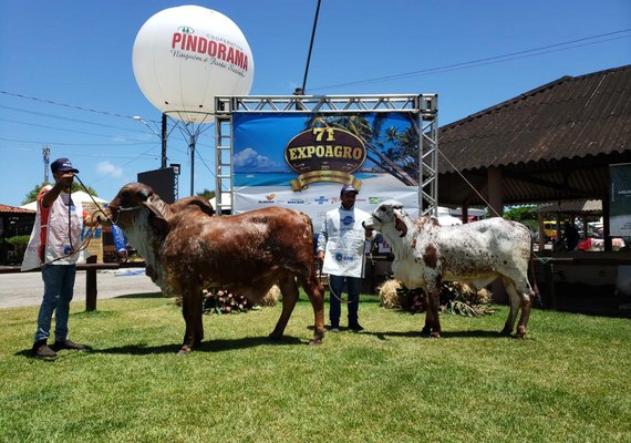 71ª edição da Expoagro/AL valoriza mercado pecuário  e destaca a força do campo