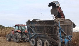 Asplana inicia cadastro dos fornecedores de cana para recebimento da subvenção